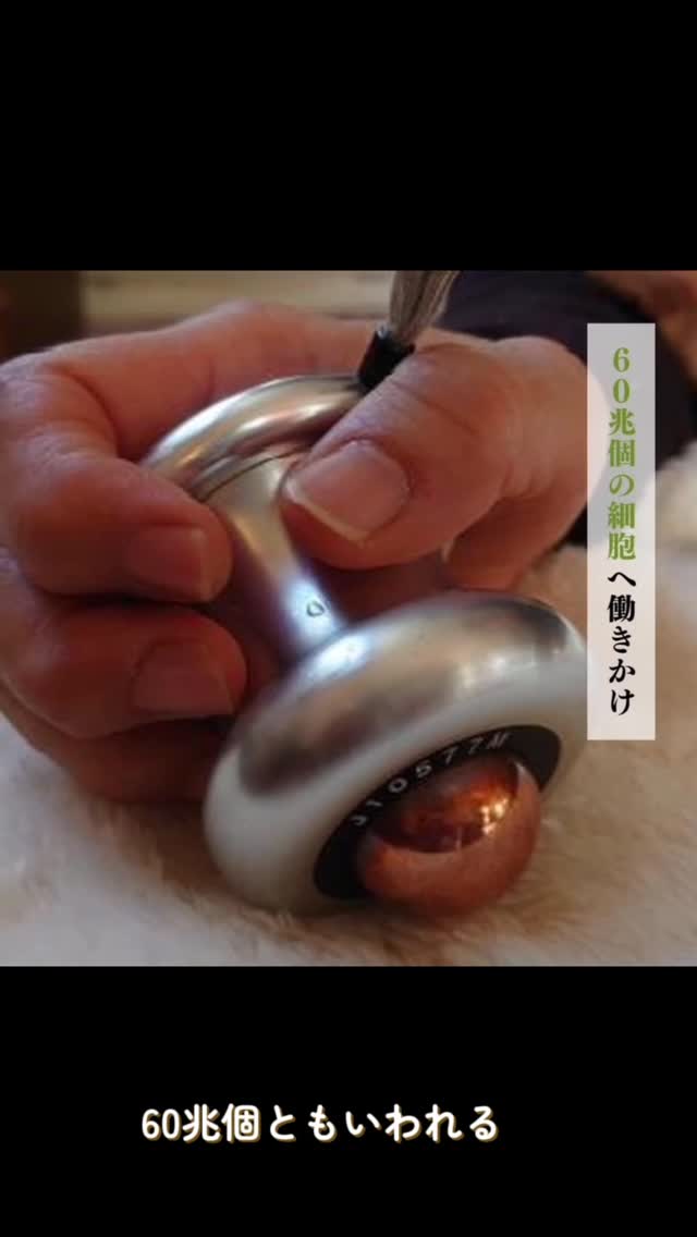 私たちの身体には、