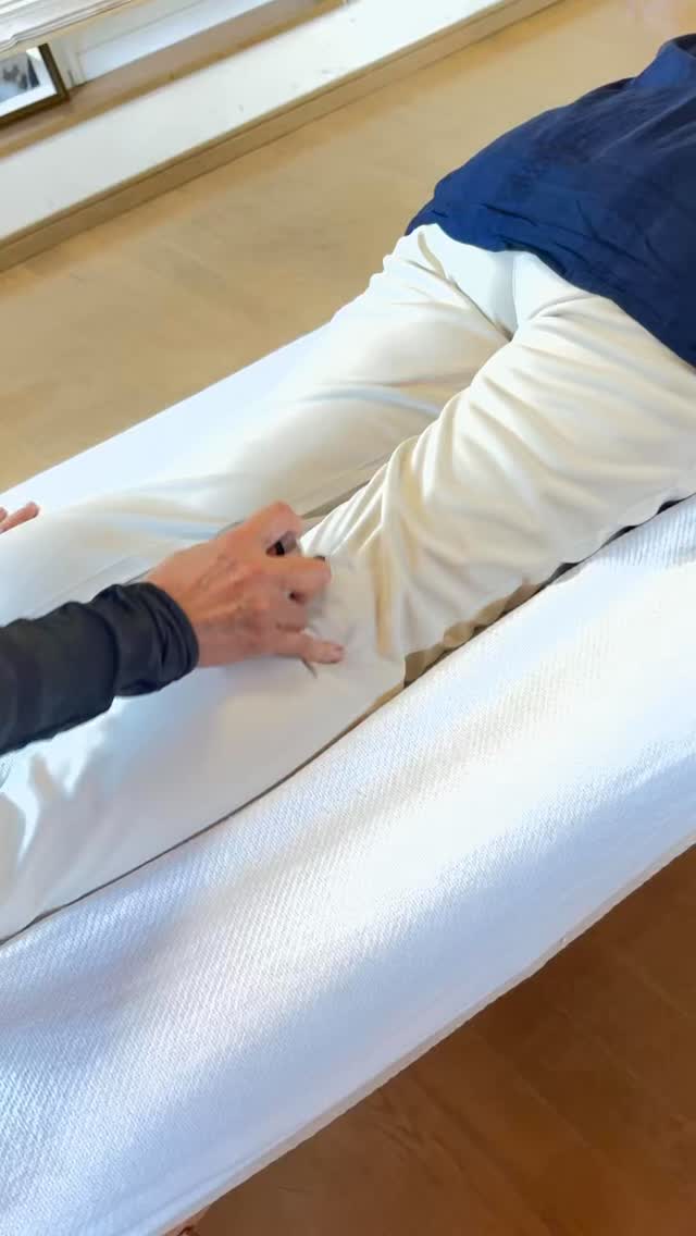 こんにちは🌸
